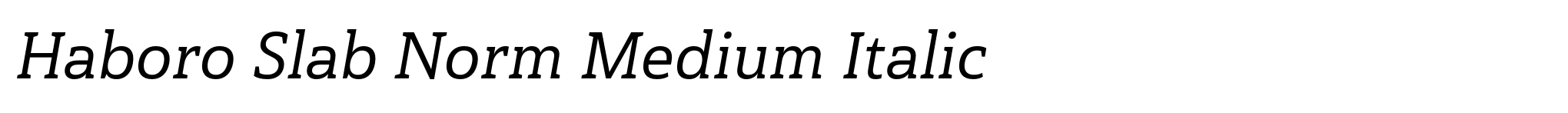 Haboro Slab Norm Medium Italic image